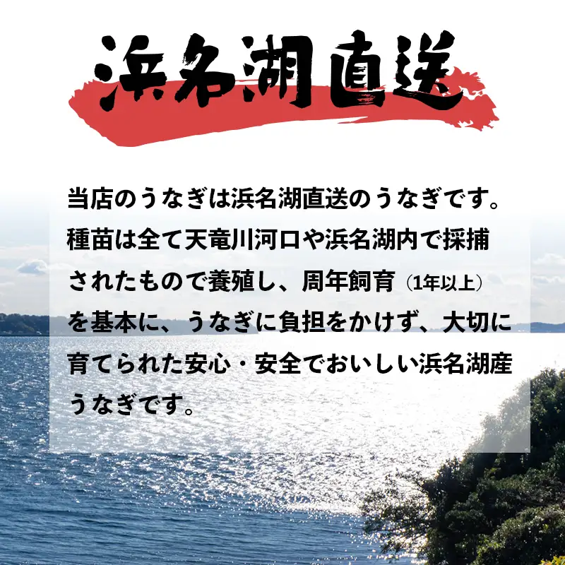 浜名湖産 うなぎ蒲焼 カット 180g （45g×4袋） タレ・山椒付き