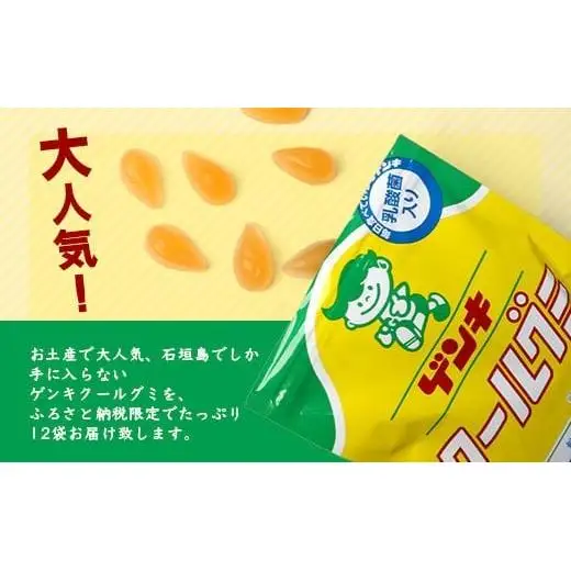 八重山ご当地キャラクターゲンキくん クールグミ 12袋　OP-3