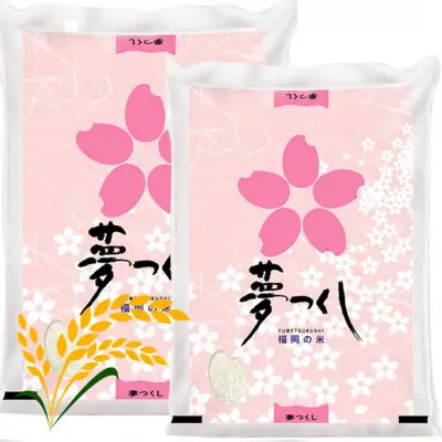 ＜令和7年産＞福岡県産米食べ比べ 白米セット「夢つくし」「元気つくし」2種類　20kg(各5kg×2袋) 【米 ブランド米 ブランド 白米 元気つくし 夢つくし 福岡県産 グルメ 福岡県 筑前町 CE032】【価格改定】