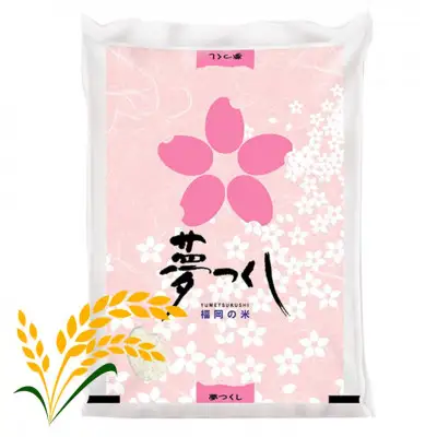 ＜令和7年産＞福岡県産米食べ比べ＜白米＞「夢つくし」と「元気つくし」セット　計10kg(各5kg) 【米 ブランド米 ブランド 白米 元気つくし 夢つくし 福岡県産 グルメ 福岡県 筑前町 CE061】【価格改定】
