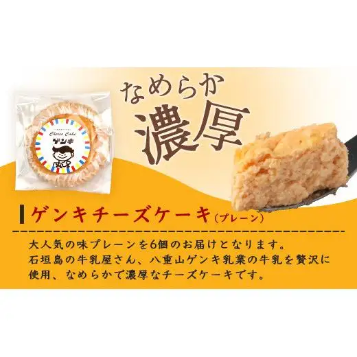 ゲンキチーズケーキ 6個プレーン  OP-7