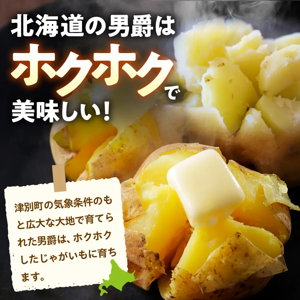 R8年産先行受付 じゃがいも 5kg 特別栽培（男爵） | ジャガイモ 芋 男爵 馬鈴薯 大容量 新鮮 野菜 煮物 カレー シチュー ポテト 保存 特産 産地直送 北海道 津別町 送料無料
