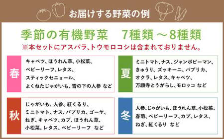 有機JAS認定 季節の野菜詰め合わせ ～有機野菜セットC～ 