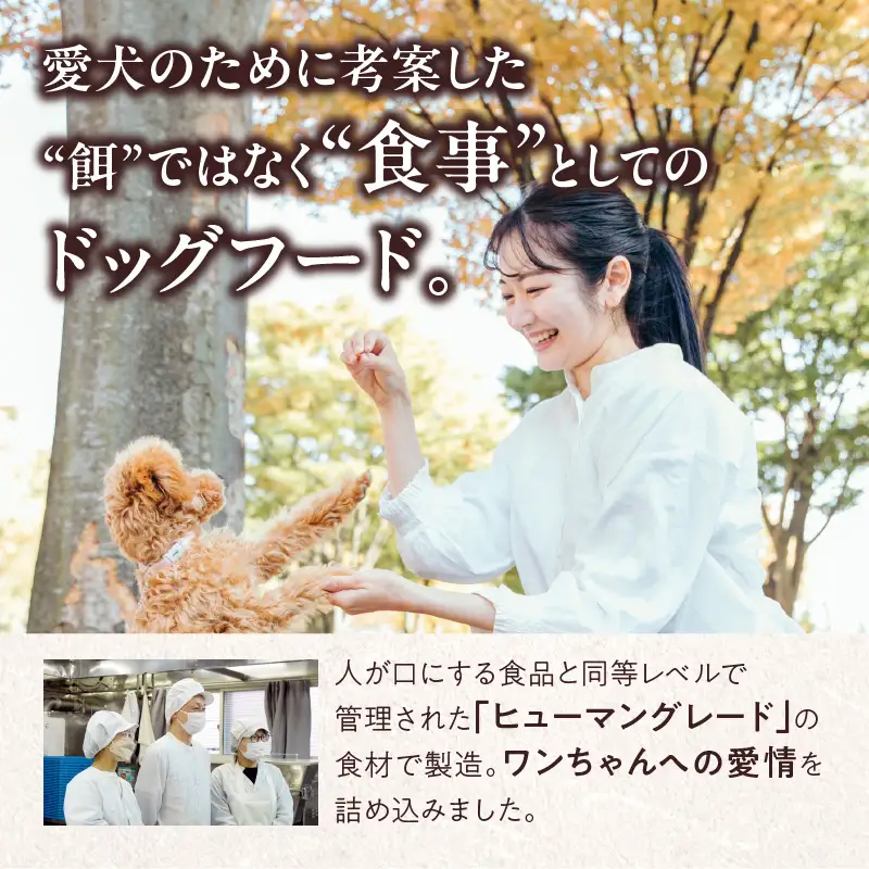 【5営業日以内に発送】【 アスランエゾベニソン オリジナル 1.2kg（ ドッグフード ） 】 T012-001 ペット用品