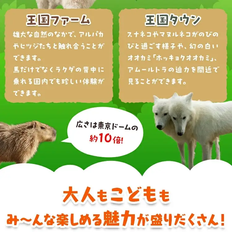 那須どうぶつ王国 ペアご招待券 2名 ｜ 動物 動物園チケット 動物園 どうぶつえん チケット 券 入場券 入園券 観光 ファミリー 家族 お出かけ 旅行 栃木県 那須町〔P-153〕
