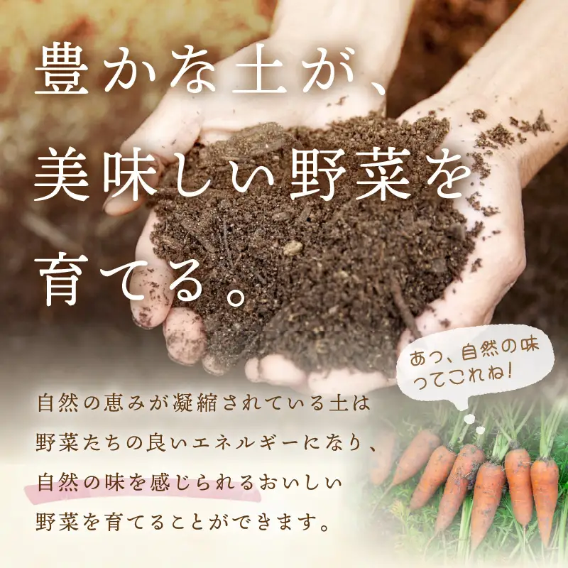 【6回定期便】＜てんとうむしばたけ＞オーガニック野菜セット　有機野菜6～7種(2人用) 京都直送 野菜 詰め合わせ 野菜セット 国産 京都産 ふるさと納税 野菜
