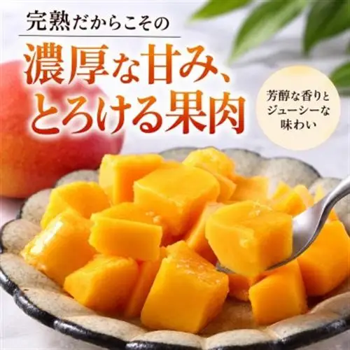 【2027年6月下旬から順次発送・贈答用】JAおきなわ厳選 完熟アップルマンゴー1.5kg【配送不可地域：離島】【1466101】