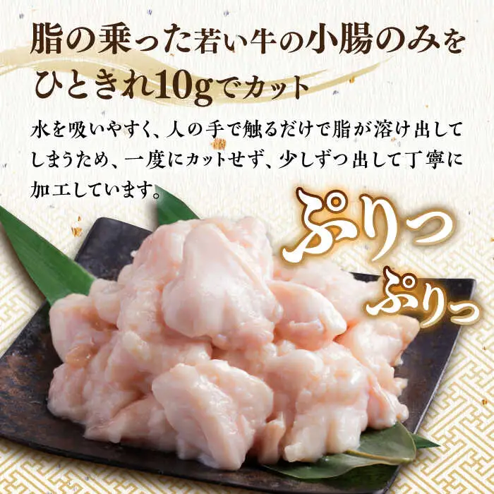 もつ鍋 醤油味 4人前 [ABDJ003] もつ鍋
