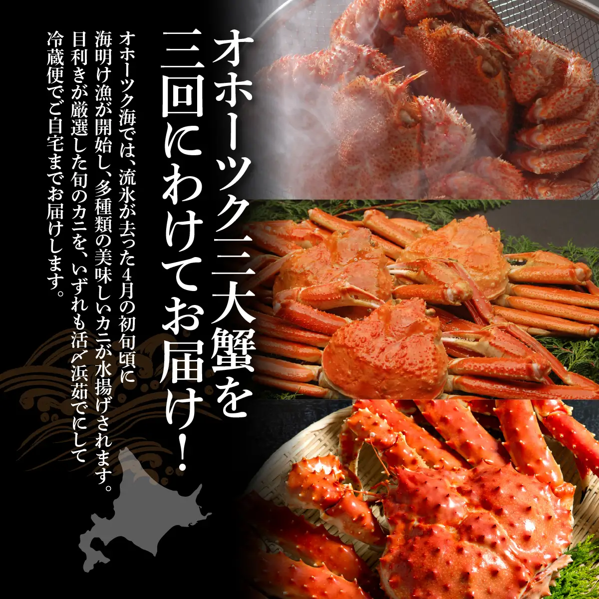 【先行予約・定期便】オホーツク美味3大蟹定期便（2027年4月より発送予定） ABAO2187