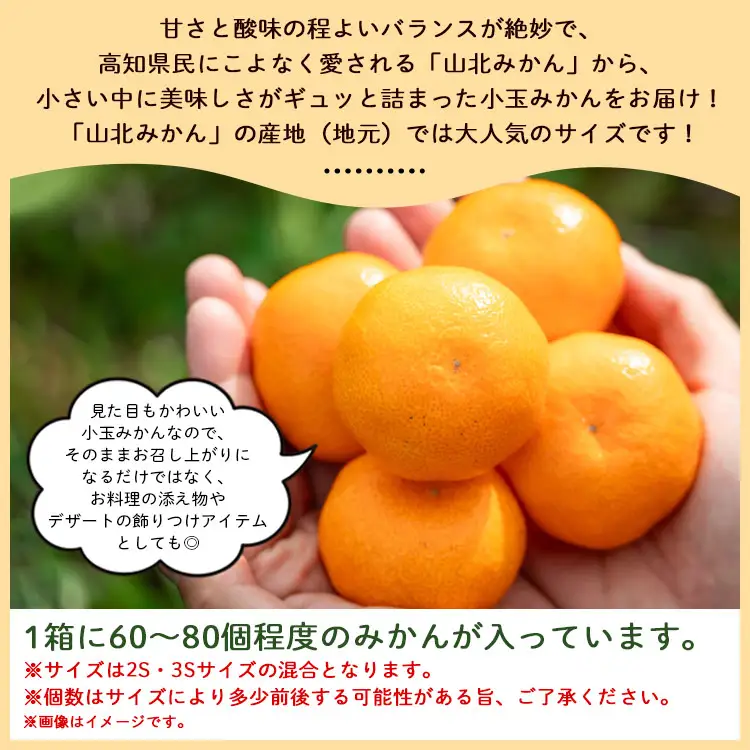 山北みかん 小玉5kg（60～80個程度）小玉３S〜２Sサイズ yk-0078
