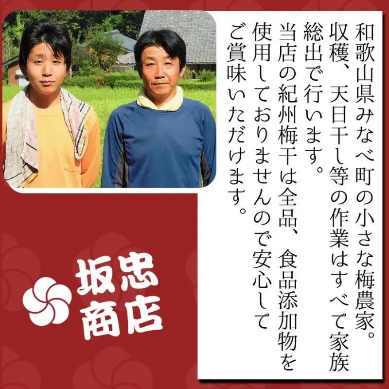 梅干し こだわり熟うま南高梅（はちみつ梅）250g×2個 塩分 約7％ sakachu003A【sakachu003A】