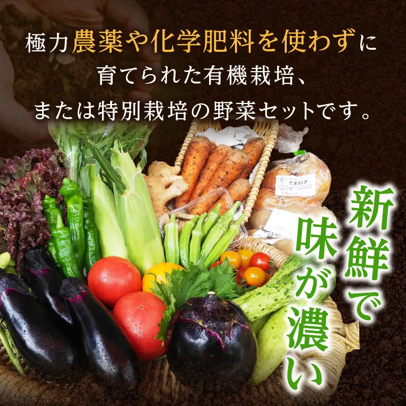 【4回定期便】アスカ有機農園｜旬の京丹後野菜セット 8～10種類