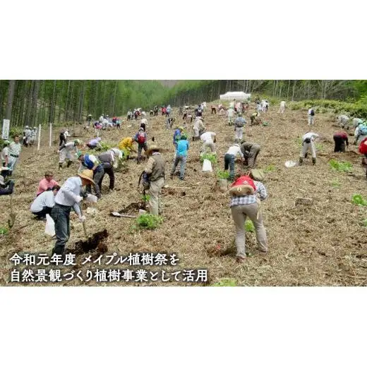 【返礼品なし】群馬県 嬬恋村 ふるさと応援寄附金 50000円 寄附のみの応援 [AO018tu]