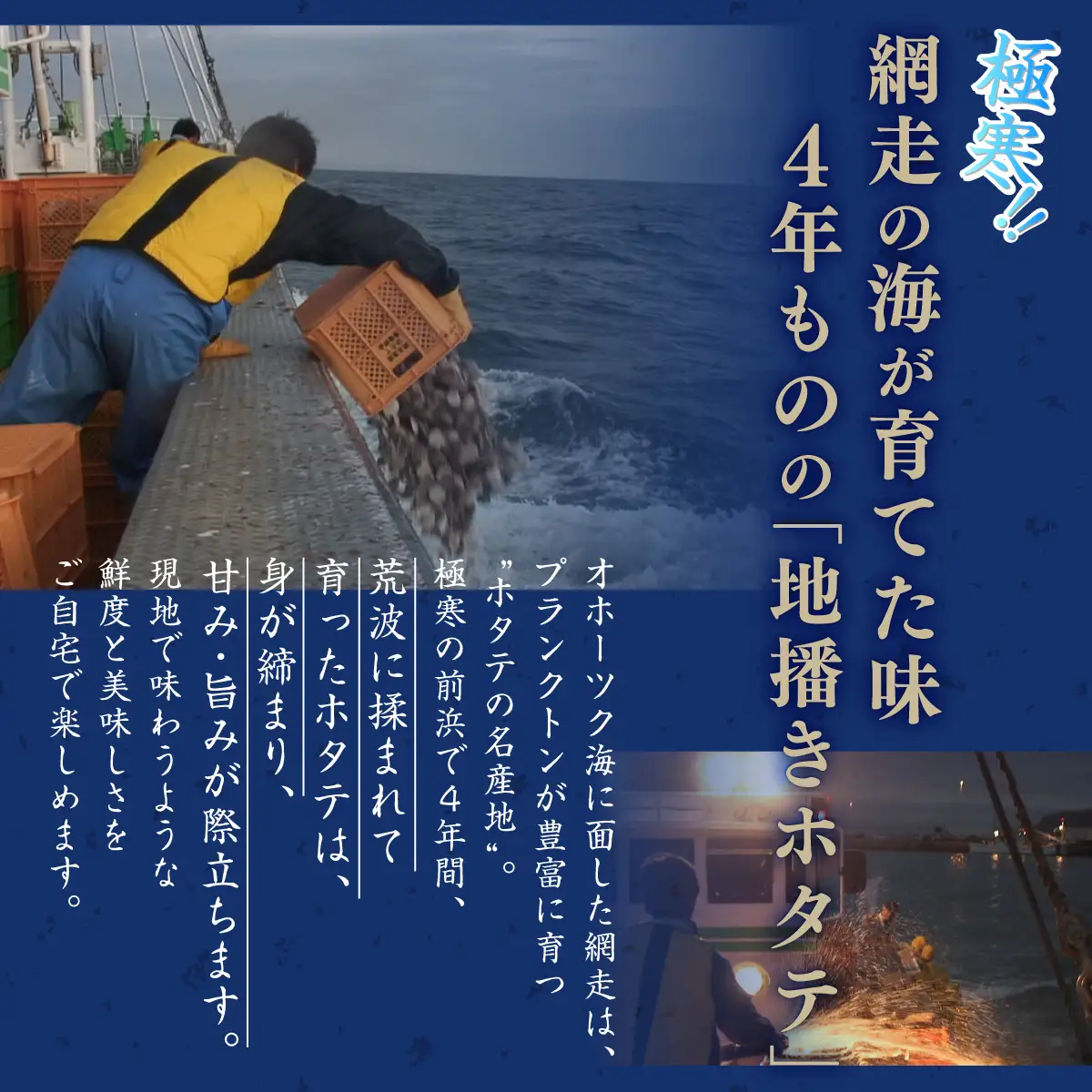 ＜網走前浜産＞無添加ホタテ貝柱【1kg (500gパック×2) 】 ABAI011 | ホタテ