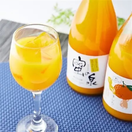 和泉みかんを使用した100%みかんジュース(720ml　6本セット)【1498456】