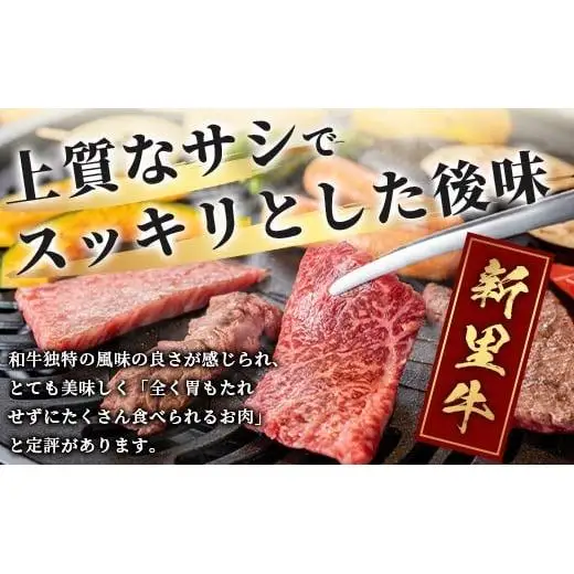 石垣島産 黒毛和牛 新里牛 カルビ系焼き肉用(300g×1) (ナカバラ・ソトバラ・笹の葉カルビから1つおまかせ) SZ-3
