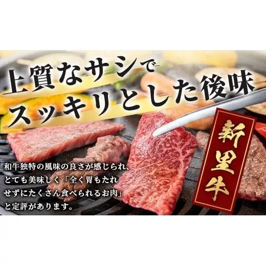 石垣島産 黒毛和牛 新里牛 カルビ系焼肉用 (300g×2) 合計600g (ナカバラ・ソトバラ・笹の葉カルビから２つおまかせ) SZ-4