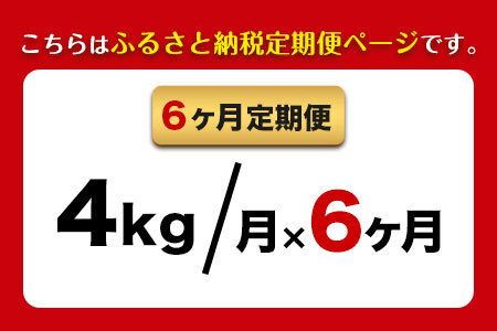 【6ヶ月定期便】新米 令和6年産 ひのひかり 白米 4kg  熊本県荒尾市産 つゆくさ農園 《お申込み月の翌月から出荷開始》 美味しい米 お米 熊本県産米 くまもと米 st-p