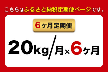【6ヶ月定期便】新米 令和6年産 ひのひかり 玄米 20kg 熊本県荒尾市産 つゆくさ農園 《お申込み月の翌月から出荷開始》 美味しい米 お米 熊本県産米 くまもと米 st-p