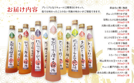 櫻室町 こだわりだけを詰め込んだリキュール 詰合せ セット 計12本（12種類300mlx各1本） お酒 アルコール 酒 