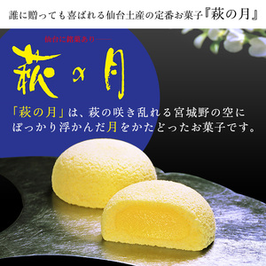 和菓子 萩の月 6個入り 菓匠三全 和菓子