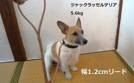 《色・幅が選べる》本革製犬用リード ロング長さ約120cm ＜ネーム刻印可能＞ 国産牛ヌメ革 ハンドメイド レザー 本革 犬用 ペット リード 革製品 ネーム 刻印 名入れ 贈り物 ギフト F6L-399