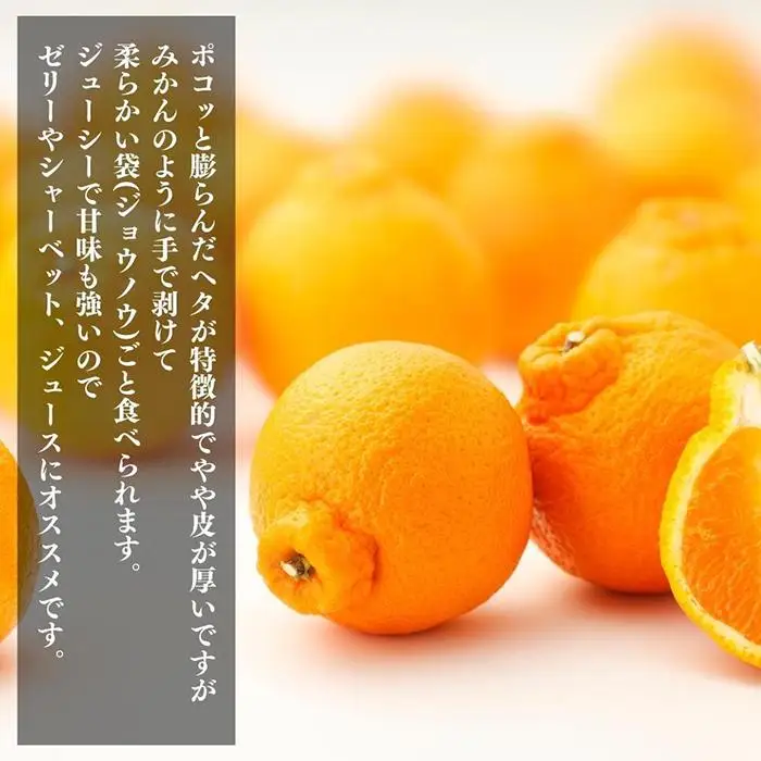 不知火 大玉 どっこいしょ 箱込 5kg (内容量約 4.4kg) 秀優混合 和歌山県産［みかんの会］