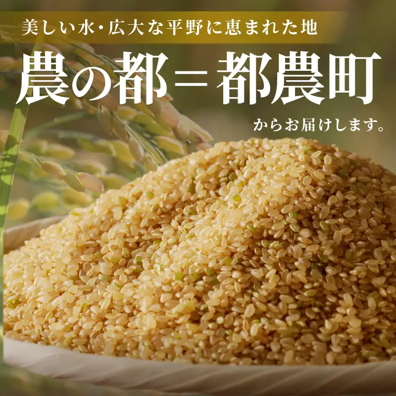 ≪都農町産≫新米コシヒカリ(玄米)5kg 米 お米 ご飯 国産_T031-0035