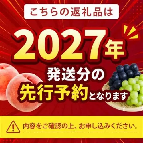 2027年発送先行受付【果汁スプラッシュ日川白鳳】人気品種指定ギフト5年連続TV出演話題ブランド桃【配送不可地域：離島・北海道・沖縄県・中国・四国・九州】【1465184】