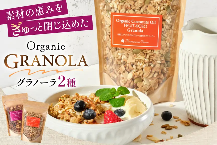 グラノーラ 2種 セット ココナッツグラノーラ 200g カカオニブスグラノーラ 200g