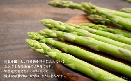 グリーンアスパラ M・Sセット  合計約2kg 野菜 アスパラガス アスパラ 旬 M S 北海道 浦臼町 【2027年5月下旬～6月下旬迄発送予定】