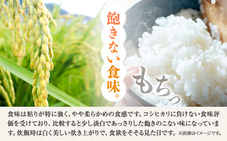 R7年産米 岡山県産 きぬむすめ 10kg 全農パールライス 