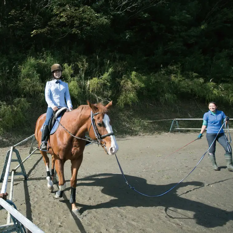 28-03 乗馬チケット 平日 10回 コース ホースライディングスクエア エボルブルス【乗馬 チケット 回数券 茨城県 阿見町】