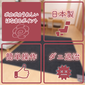 （ワタナベ工業）そのまま使えるホットカーペット１畳（ブラウン）【WHC-105KPL-BR】020-013