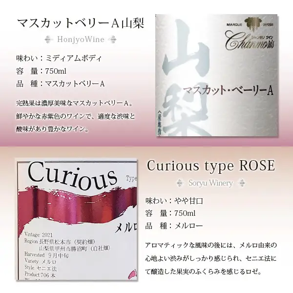 ワイン 赤白ロゼワイン6本セット（CKH）E1-770