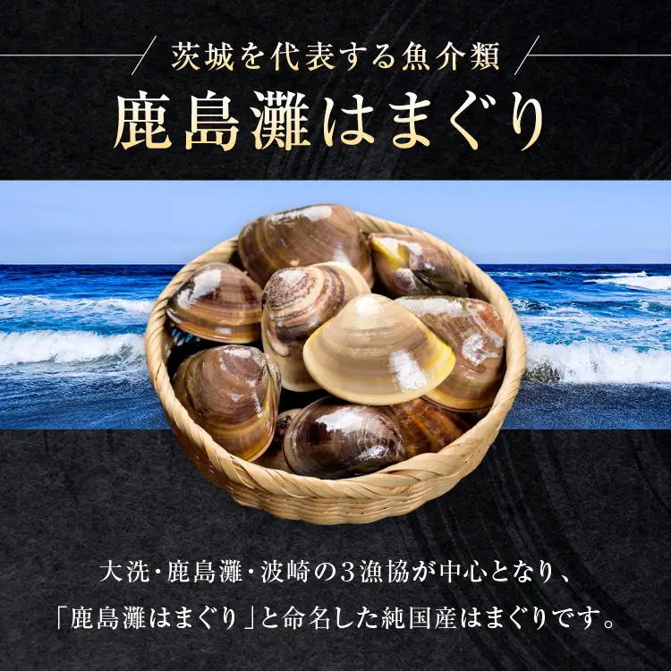 大洗産鹿島灘天然はまぐり 3㎏ 冷蔵 漁協直送 ハマグリ 蛤 貝 砂抜き処理 魚介類 大洗産 天然 はまぐり_BQ012
