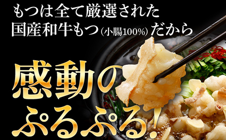 国産和牛もつ鍋5人前 醤油味  CB013