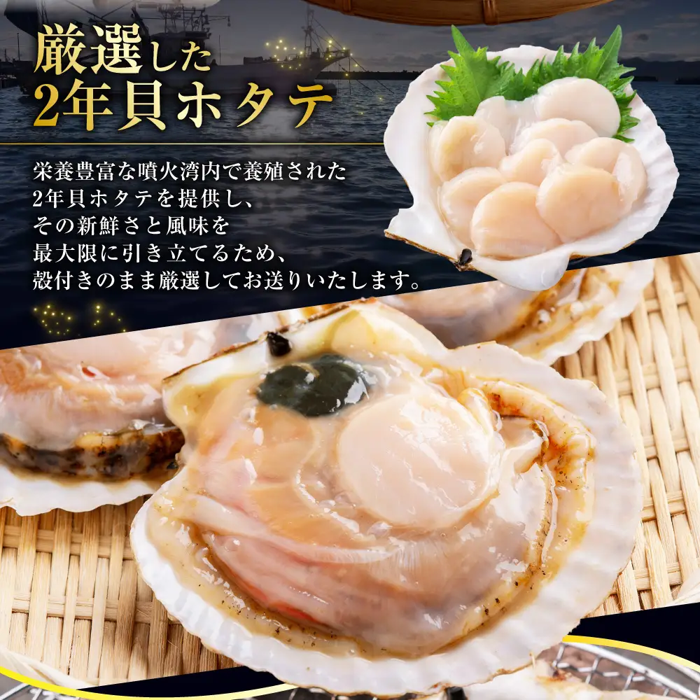 【先行予約】北海道 豊浦町 殻付きホタテ貝  2年貝  約8kg ほたて 帆立 シーフード 海鮮 BBQ 【2027年1月下旬～3月下旬発送予定】