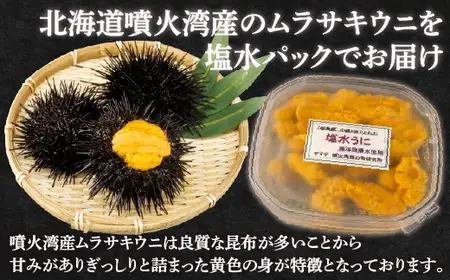 【2027年6月下旬～7月下旬迄発送予定】うに 塩水 ムラサキウニ 80g×2パック 北海道 豊浦 噴火湾 雲丹【配送不可地域：離島】 