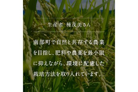 ＜令和7年産＞鳥取県南部町産「無洗米きぬむすめ」10kg(5kg×2袋) 　板谷米穀店