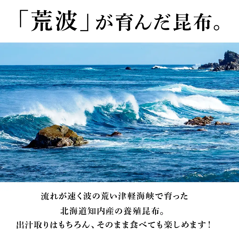 〈予約受付〉1等級 乾燥昆布 1kg 【上磯郡漁業協同組合】 知内 出汁 だし 北海道 コンブ こんぶ