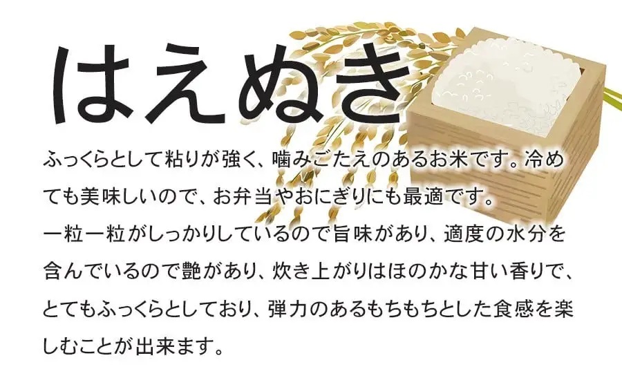 【令和8年産先行予約】 特別栽培米はえぬき無洗米 10kg (5kg×2袋)×6ヶ月【定期便】　鶴岡協同ファーム