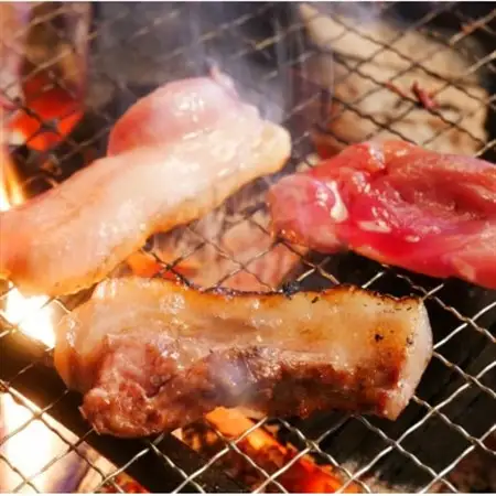 熊・鹿・猪ジビエ三種食べ比べ焼肉セット【合計600g】旅館のプロの料理人の無添加手作り焼肉たれ2種付_肉 鹿肉  しか シカ  肉 猪肉  いのしし イノシシ  肉   _【配送不可地域：離島】【1262632】