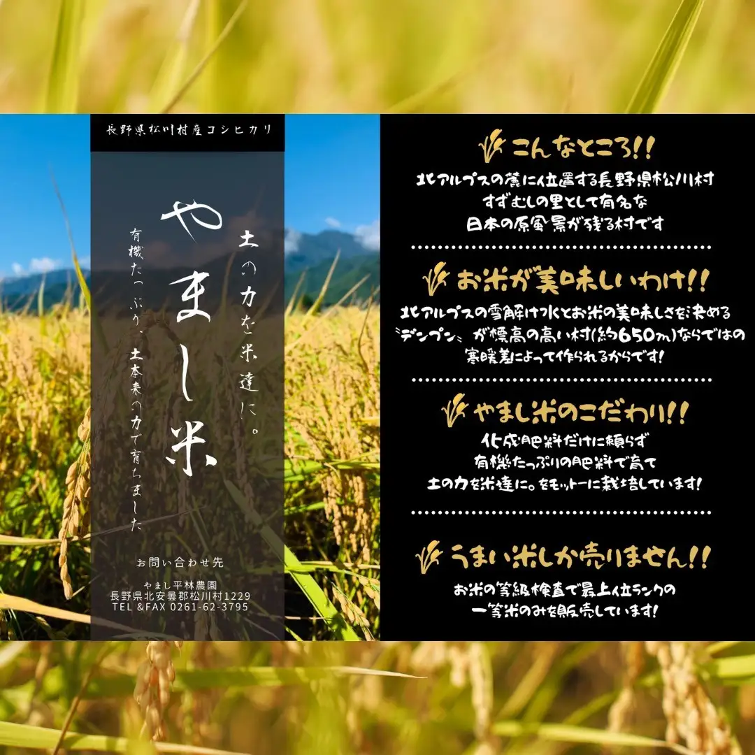 【令和8年産】一等米 コシヒカリ 10kg（3回定期便） | やまし平林農園