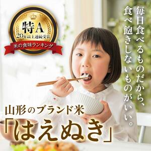 【定期便 毎月配送 全12回】山形県産 はえぬき 精米 5kg×2袋×12回(計120kg) F3S-1883