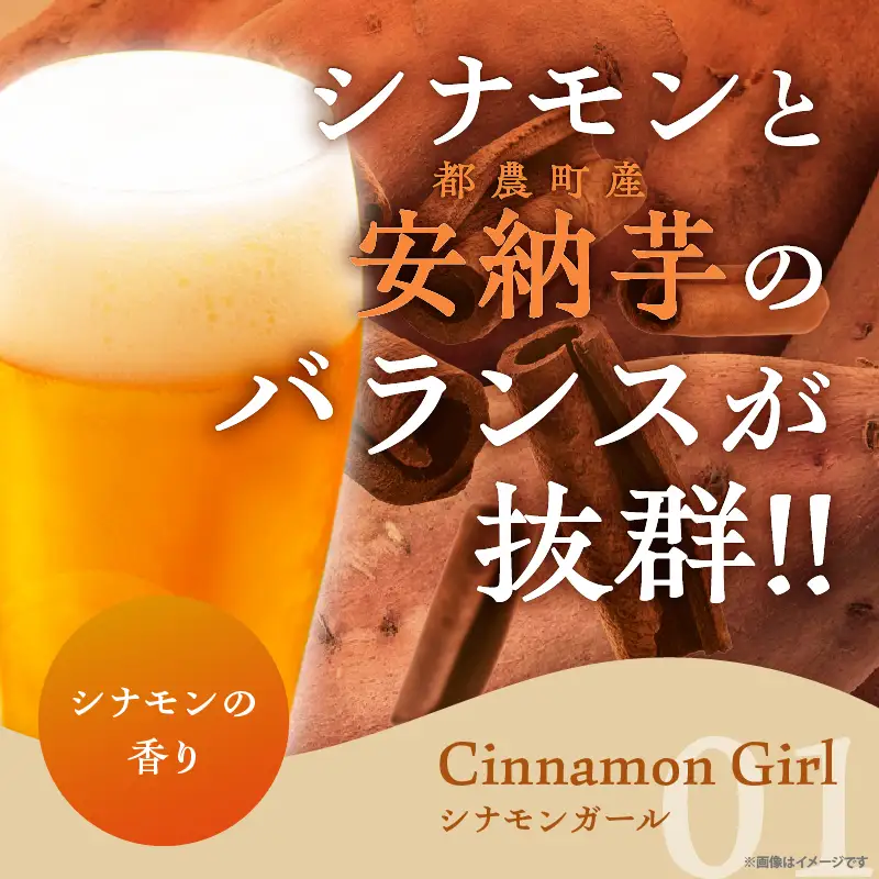 【2週間以内発送】都農クラフトビール詰め合わせ6本セット 酒 アルコール 飲料 国産_T016-0035