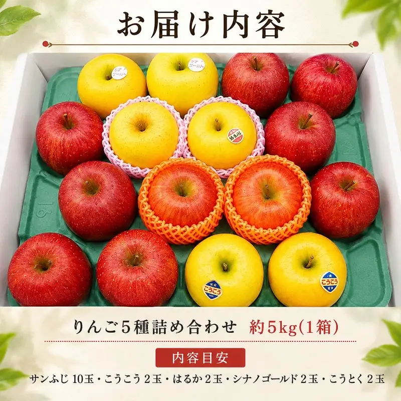 【先行予約】味恋セット 盛岡りんご 詰め合わせ 5種 5kg 12月発送 朝島観光りんご園 asashima005  りんご