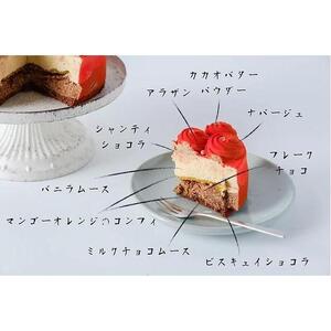 パッションルージュショコラ(５号)冷凍便　【 お菓子 生菓子 お祝い デザート お祝い プレゼント 記念日 誕生日 誕生日ケーキ バースデーケーキ チョコレートケーキ 華やか 】
