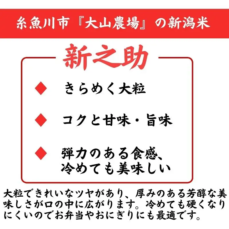 新米 新之助 【令和8年産 新米】 5kg×1袋 しんのすけ 艶コクと甘みあふれる米 農家直送 大山農場 糸魚川産 新潟県産 お弁当 おにぎり 白米