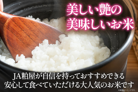令和6年度産 福岡県産 夢つくし 5kg 1袋 白米 お米 ご飯 米 精米 送料無料 お取り寄せグルメ お取り寄せ 福岡 お土産 九州 福岡土産 取り寄せ グルメ 福岡県